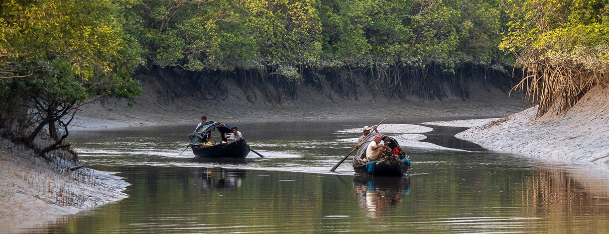 offbeat Sundarban tour 
