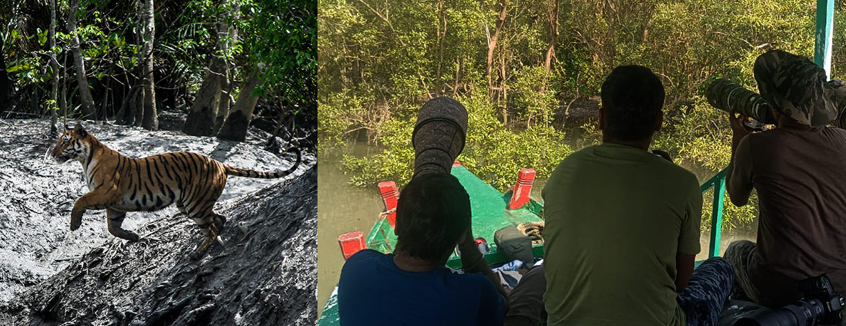 wildlife photography tour